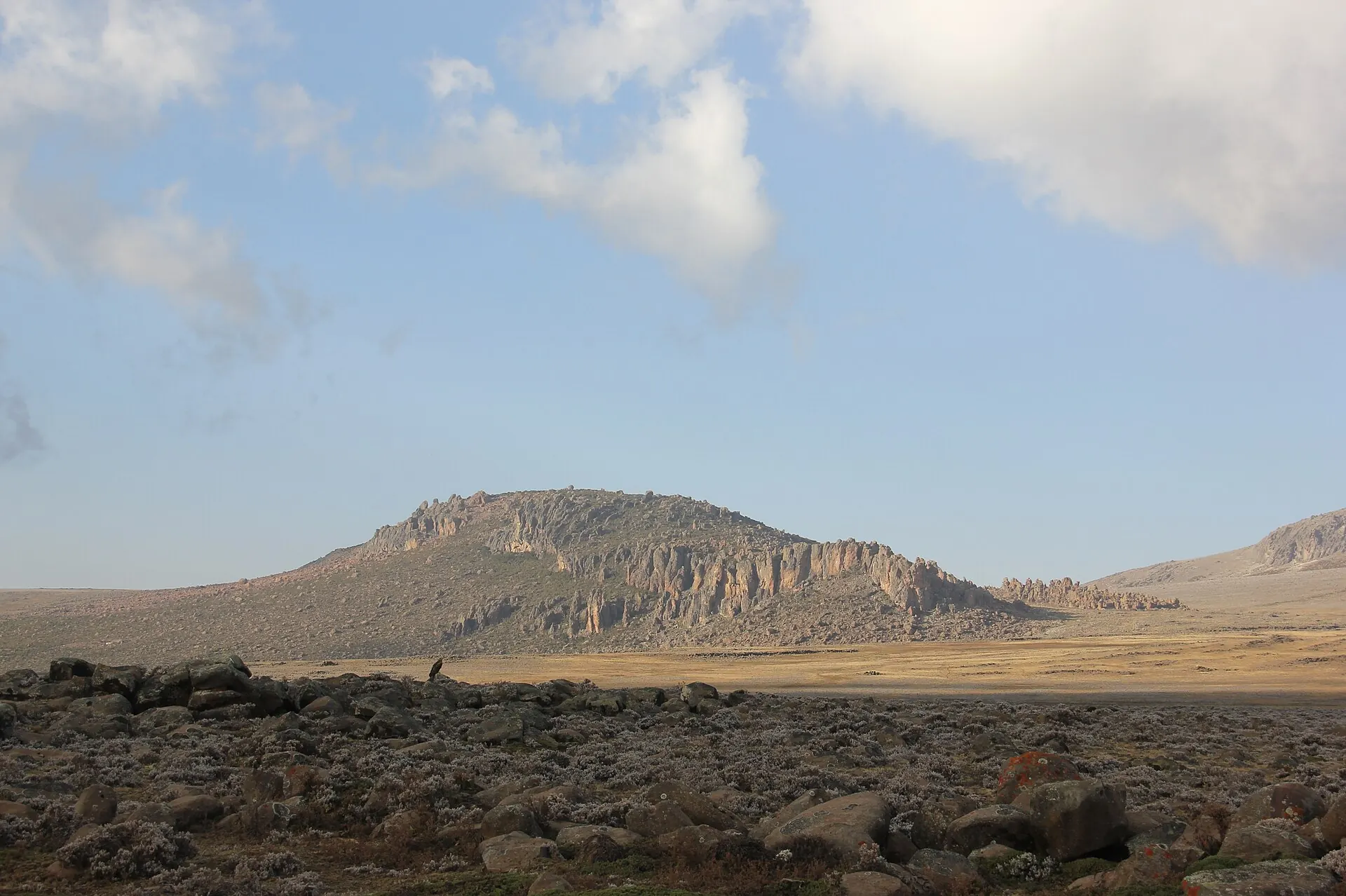 Rocky Afro-alpine moorland on the Sanetti Plateau in the Bale Mountains, with a flat-topped peak beyond