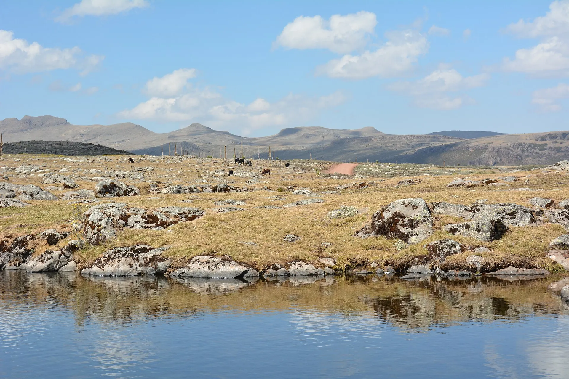 A small lake among boulders on the Sanetti Plateau, Bale Mountains