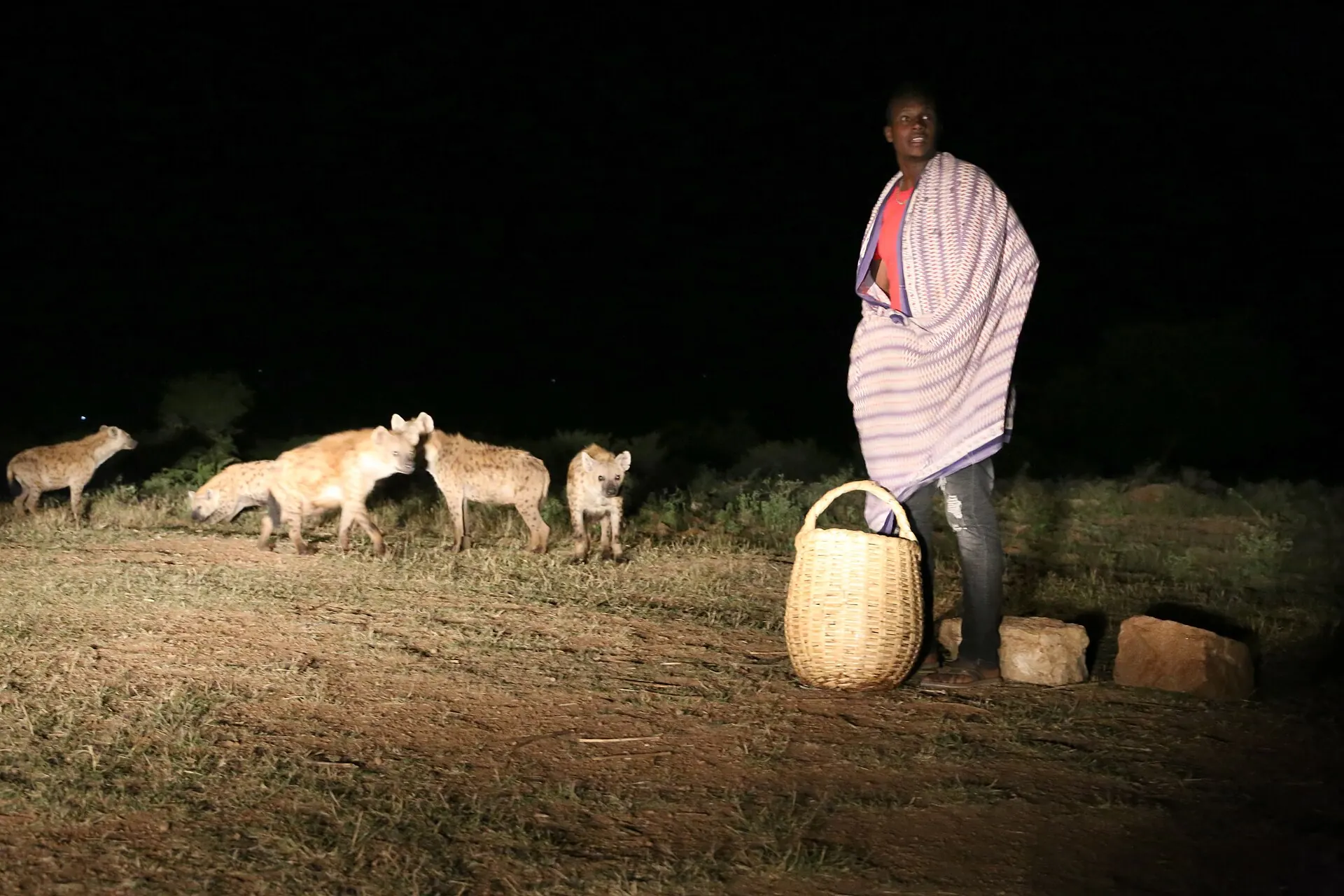 A hyena man stands with his basket as spotted hyenas gather at night outside Harar's walls