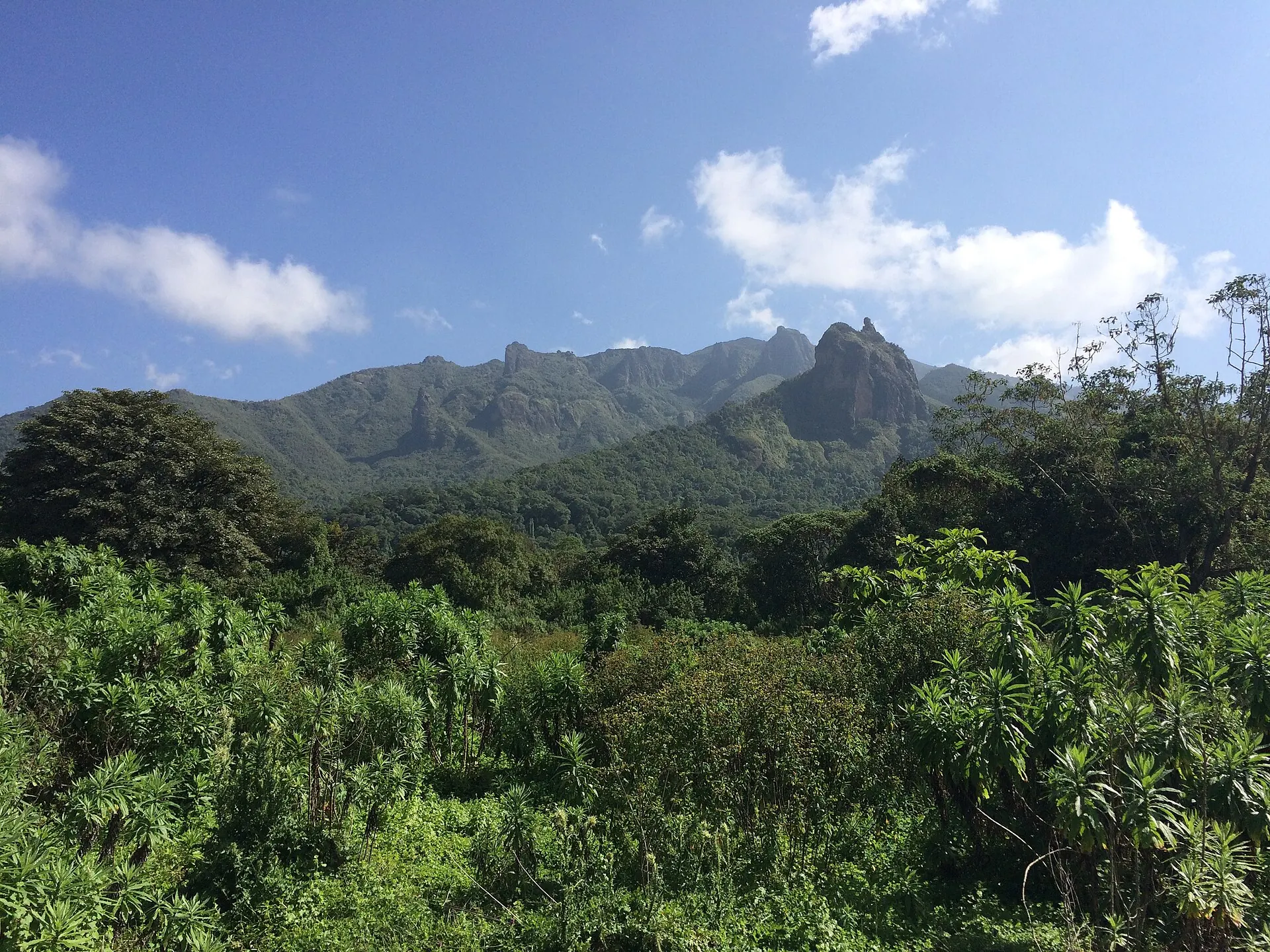 Forest and jagged peaks at the edge of the Harenna forest, Bale Mountains
